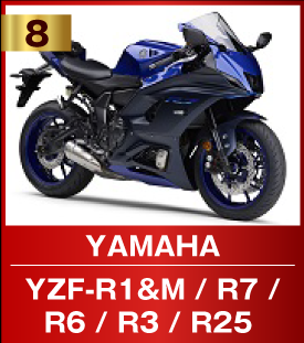 YZF-R1&M